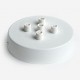 Ceiling rose with five holes,  matt white
